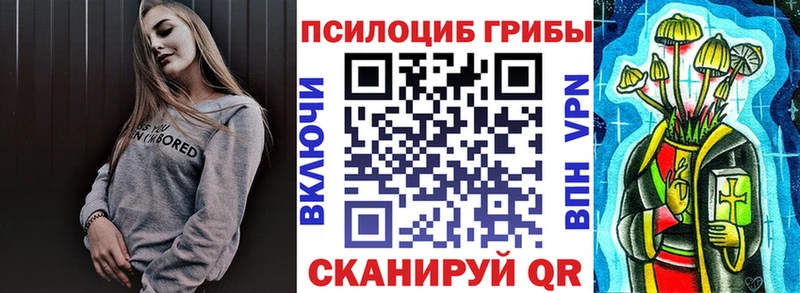 Галлюциногенные грибы Psilocybe  магазин    блэк спрут tor  Морозовск 
