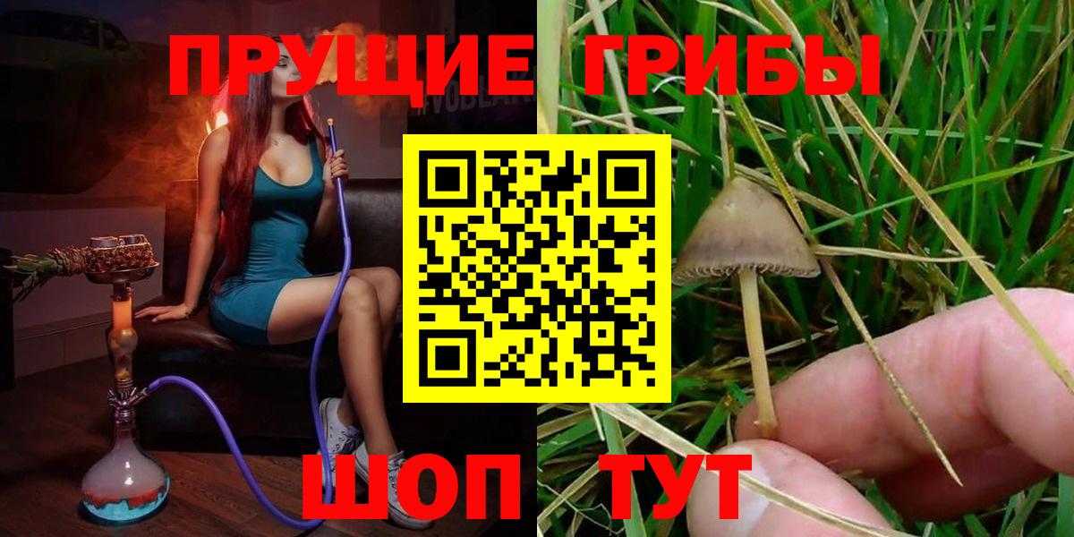 Морозовск  купить наркотики цена  Вход с VPN  Псилоцибиновые грибы MAGIC MUSHROOMS 