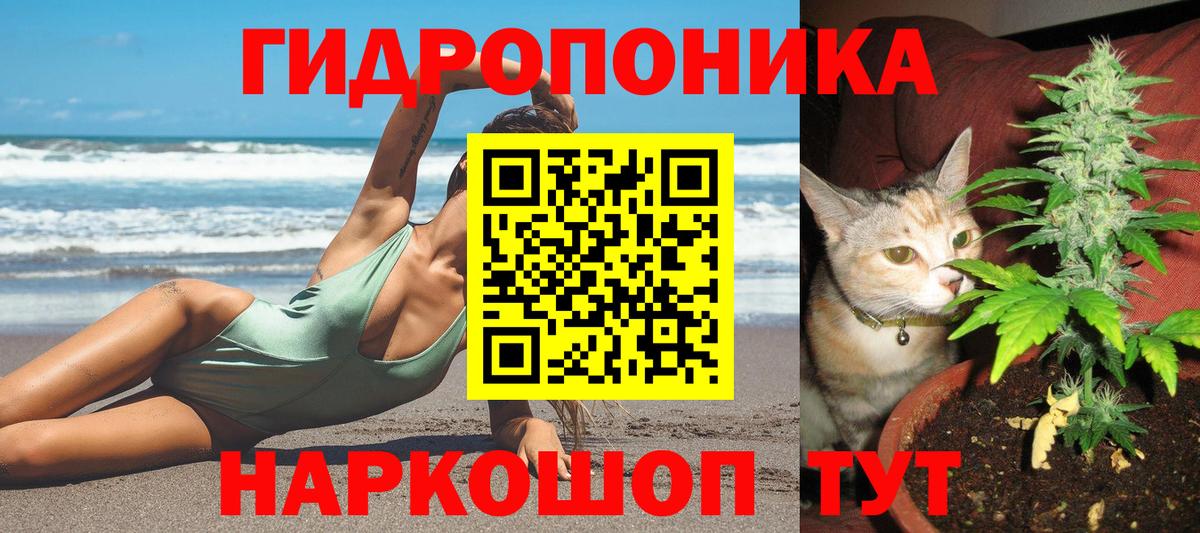 Бошки марихуана конопля  Бошки марихуана OG Kush  Бошки Шишки сатива  Вход с VPN  Морозовск 